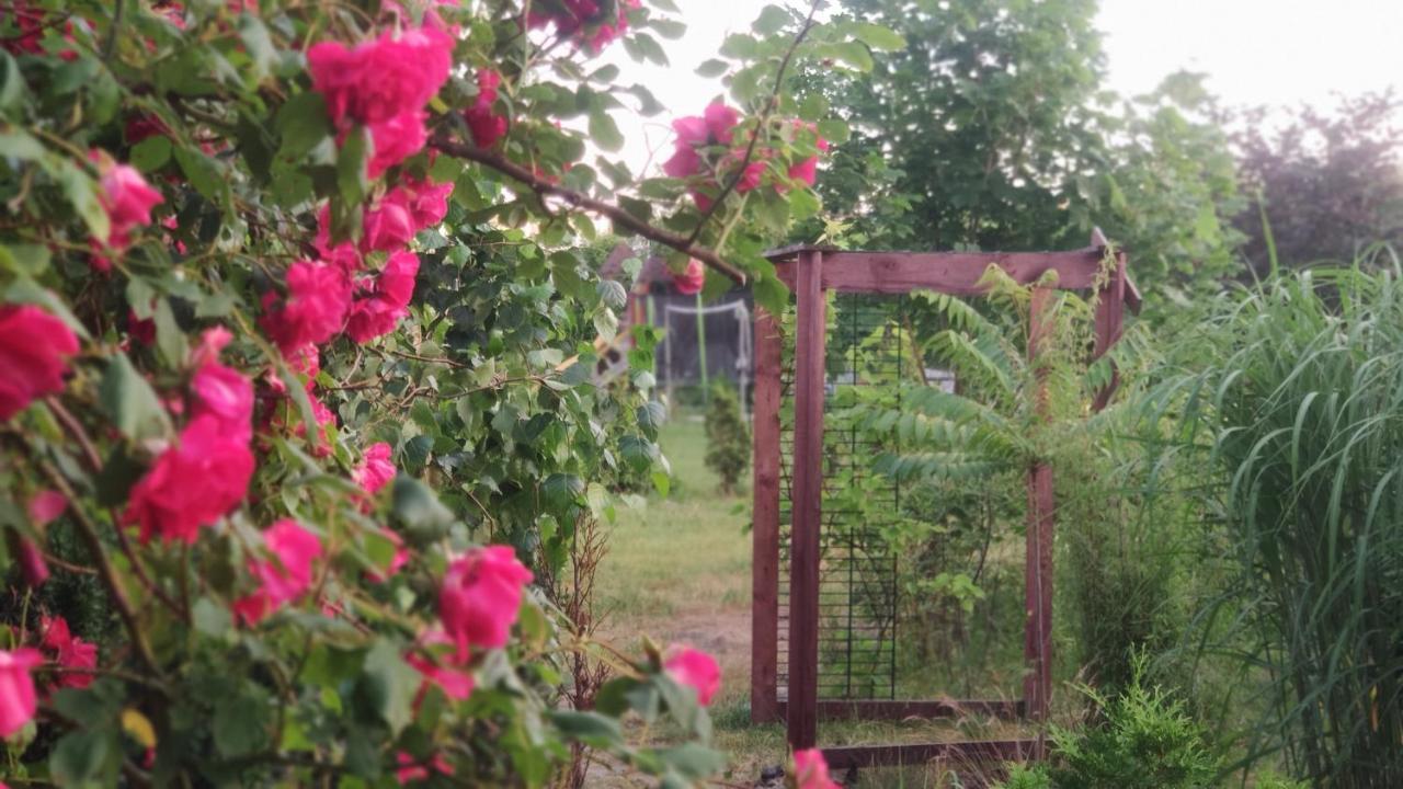 Bed and Breakfast Ow Sargus Władysławowo Exterior foto