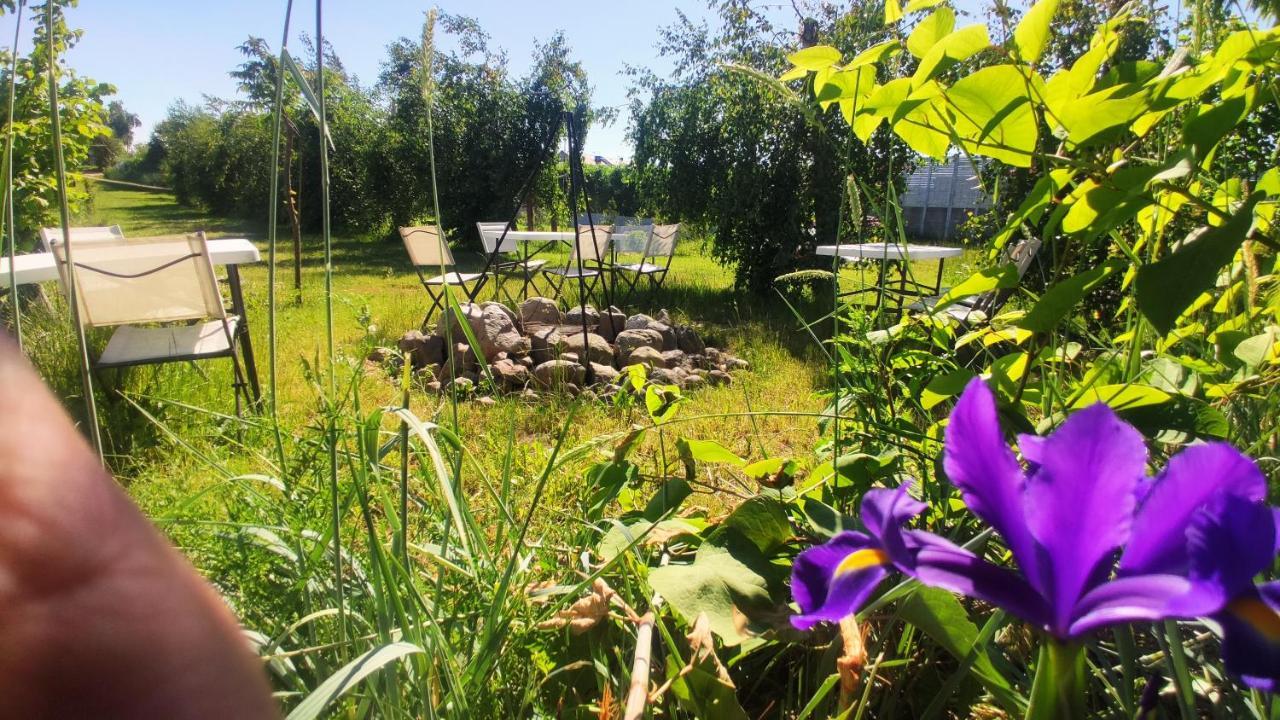 Bed and Breakfast Ow Sargus Władysławowo Exterior foto